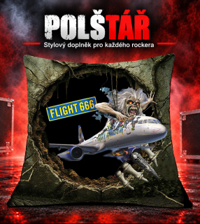 Polštář -Hole Flight 666