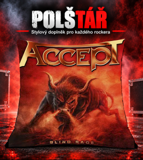 Polštář -Accept