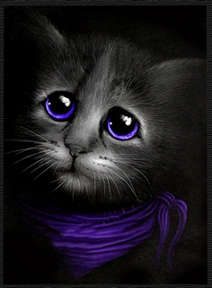 Nášivka sub-Cat