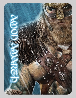 Nažehlovačka-Amon Amarth