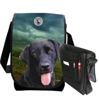Street bag-Labradorský retrívr 2
