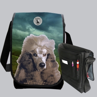 Street bag-Pudl