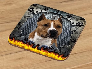 Podtácek-Americký pitbul