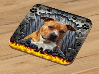 Podtácek-Amstaff