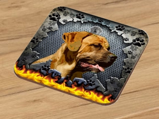 Podtácek-Bandog