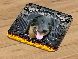 Podtácek-Beauceron