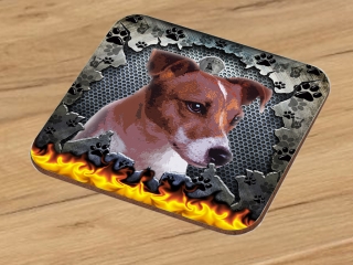 Podtácek-Jack russel