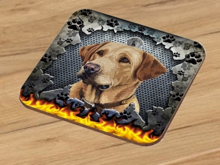 Podtácek-Labradorský retrívr 1