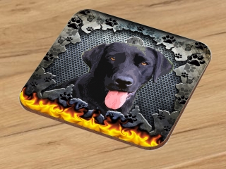 Podtácek-Labradorský retrívr 2