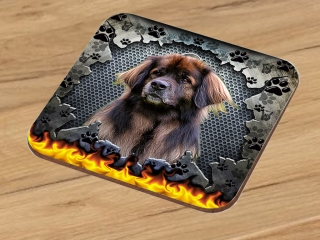 Podtácek-Leonberger