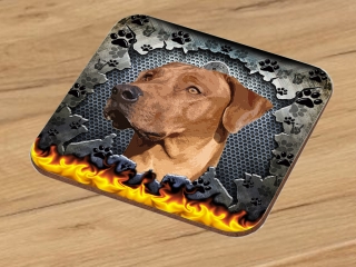 Podtácek-Rhodéský ridgeback