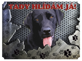 Tabulka na plot-Labradorský retrívr 2