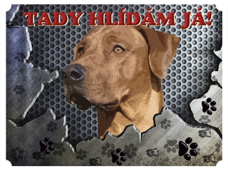 Tabulka na plot-Rhodéský ridgeback