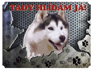 Tabulka na plot-Sibiřský husky