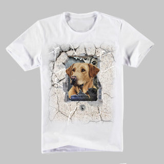 Dog Tričko-Labradorský retrívr 1