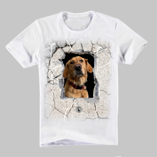 Dog Tričko-Zlatý retrívr