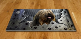 Koberec-Briard