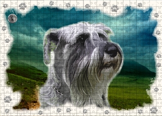 Puzzle 60-Knírač