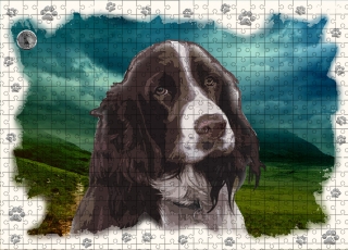 Puzzle 60-Kokršpaněl