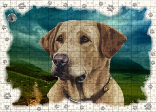 Puzzle 60-Labradorský retrívr 1