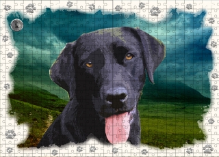 Puzzle 60-Labradorský retrívr 2