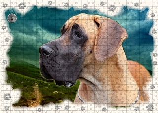 Puzzle 60-Německá doga