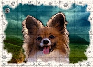 Puzzle 60-Papilon