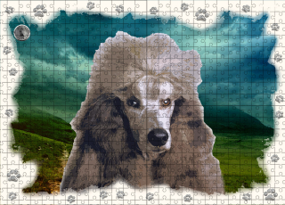 Puzzle 60-Pudl