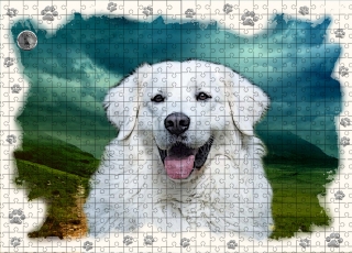 Puzzle 60-Slovenský čuvač