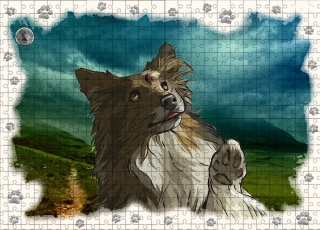 Puzzle 60-Šeltie