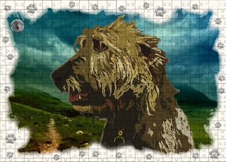 Puzzle 60-Vlkodav