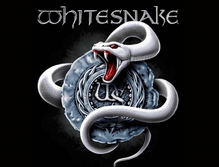 Minivlajka-Whitesnake