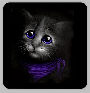 Magnetka-Cat 1