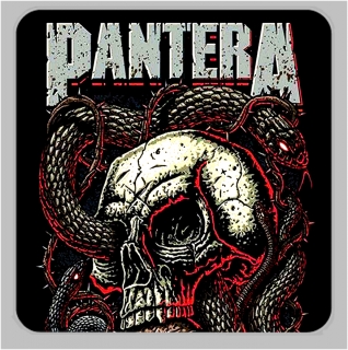 Magnetka-Pantera
