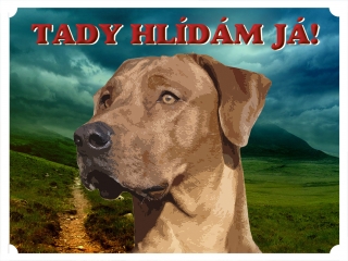 Tabulka na plot-Rhodéský ridgeback 2
