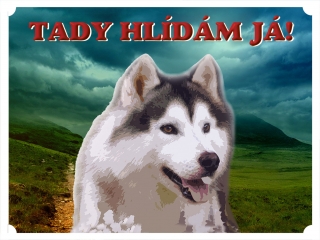 Tabulka na plot-Sibiřský husky 2