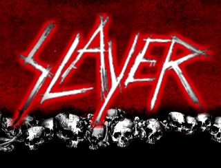 Minivlajka-Slayer