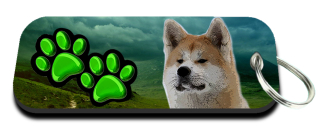 Klíčenka-Akita inu
