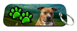 Klíčenka-Amstaff