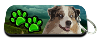 Klíčenka-Australský ovčák
