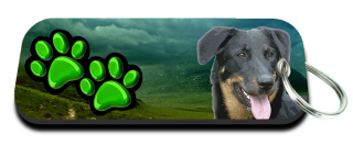 Klíčenka-Beauceron