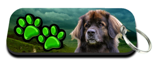 Klíčenka-Leonberger