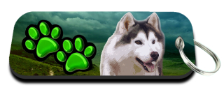 Klíčenka-Sibiřský husky