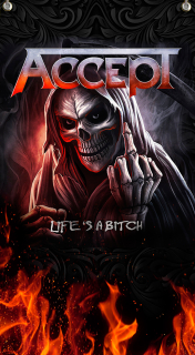 Textilní vlajka 145-Accept