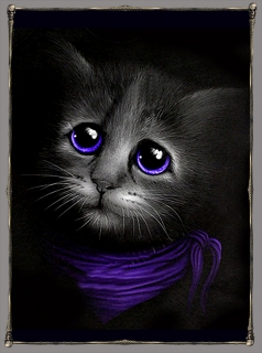 Nášivka Záda-Gothic cat
